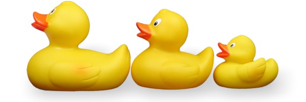 Rennente Speedy mit Schwimmgewicht