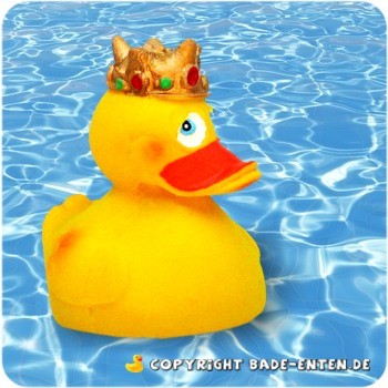 Queen Duck